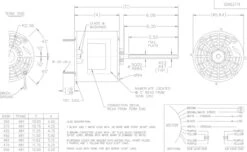 X442 Marathon 1/3 Hp 208-230V 1075 RPM OPAO Shaft Down 48Z Frame Condenser Fan Motor -Motor Warehouse Store 442 line 22553.1625672750