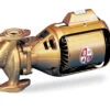 Bell & Gossett Circulating Pump Series 100 Model 100 BNFI 1/12 Hp 115V, 106197LF