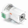 119461.00 Leeson 2 Hp 3600 RPM 208-230/460V 56J Frame (Rigid Base) TEFC 3-Phase Wash-Down Jet Pump Motor