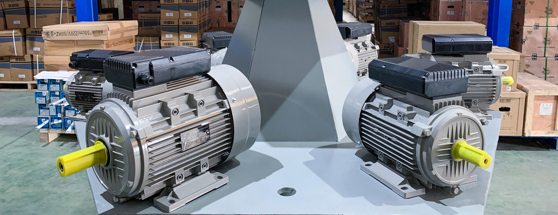 Motor Warehouse Store -Motor Warehouse Store motor 7903404 1920