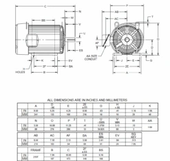 Motor Warehouse Store -Motor Warehouse Store p2h line 31246.1650036125